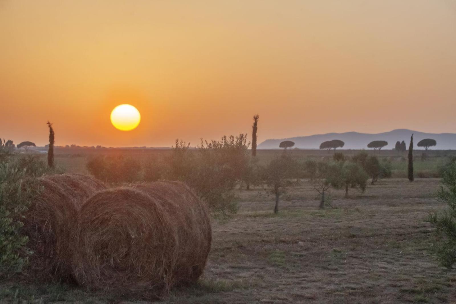 Casale Oliveta Villa Orbetello Kültér fotó